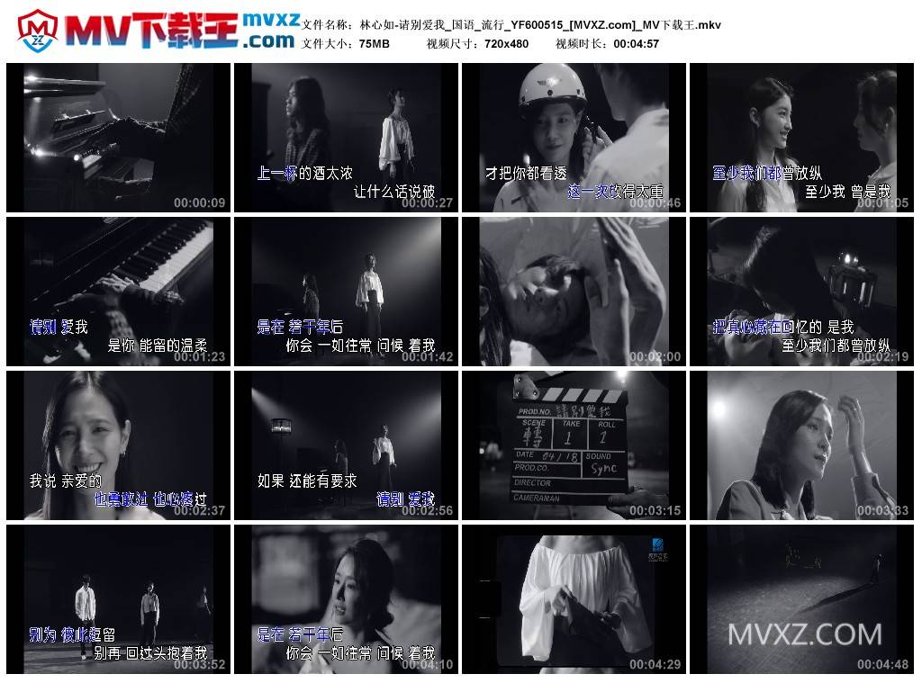 林心如-请别爱我_国语_流行_YF600515